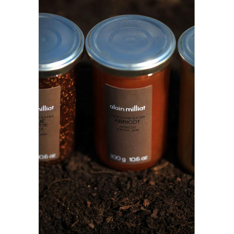 Alain Milliat Apricot Bergeron Jam, 10.6 Oz, (One 300g Glass Jar) | GMO-Free ...