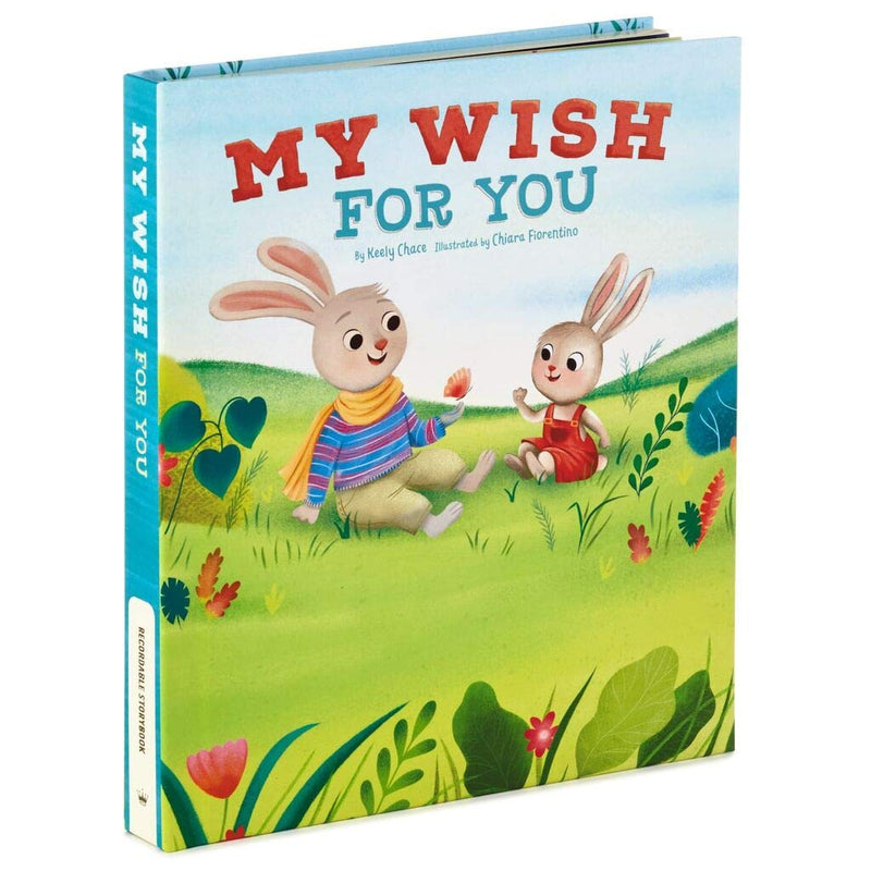 HMK My Wish for You Recordable Storybook